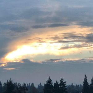 Meet your Posher, Adrianne